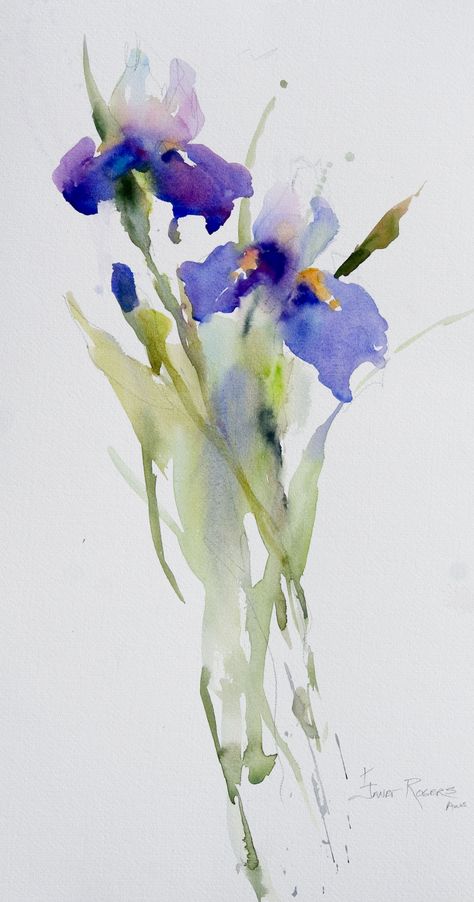 Janet Rogers irises Iris Painting, Watercolor Pictures, Watercolour Inspiration, Cute Watercolor, Loose Watercolor, Art Aquarelle, Hur Man Målar, Watercolor Flower Art, Watercolor Logo