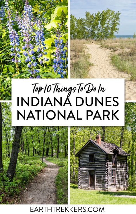 Things To Do In Indiana, Day Trips From Chicago, Indiana Vacation, Indiana Dunes State Park, Indiana Dunes National Park, Indiana Travel, Indiana Dunes, Midwest Travel, National Park Vacation