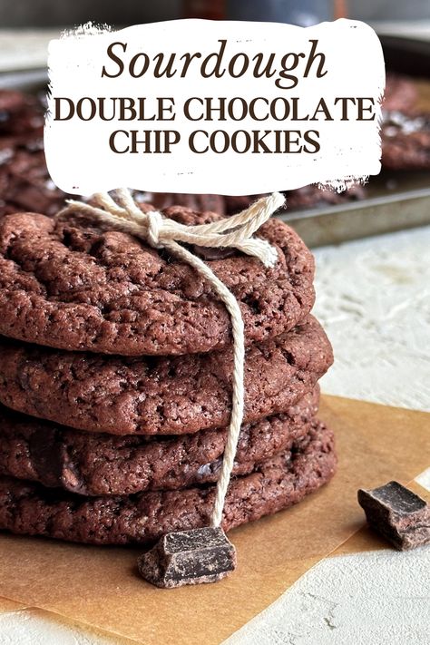 These sourdough discard chocolate cookies have a chocolate dough which is augmented by rich dark chocolate chips. They are a decadent chocolate cookie that are done the same day. These easy sourdough discard cookies are sure to be a favorite and finished with flaky sea salt. Chocolate lovers are sure to love this quick sourdough dessert recipe for any occasion. If you are bored of regular chocolate chip cookies, these sourdough double chocolate cookies are for you. Espresso Chocolate Chip Sourdough, Discard Cookies Recipes, Sourdough Discard Choc Chip Cookies, Sour Dough Chocolate Cookies, Easy Sourdough Discard Chocolate Chip Cookies, Sourdough Double Chocolate Cookies, Sourdough Chocolate Chip Cookies Recipe, Chocolate Sourdough Discard Recipes, Chocolate Chip Cookies Sourdough