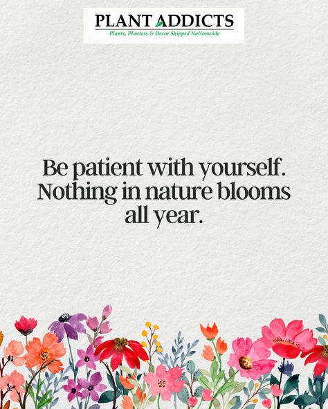 Be patient with yourself. Nothing in nature blooms all year. Nothing In Nature Blooms All Year Quote, Nothing In Nature Blooms All Year, Be Patient With Yourself, Gardening Quotes, Garden Quotes, Year Quotes, Decorative Planters, Be Patient, Pretty Quotes