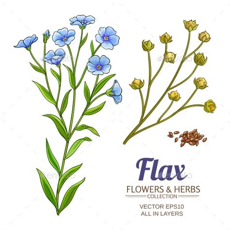 Colorful Illustration Art, Doodle Colorful, Hair Vector, Vector Doodle, Flax Flowers, Flower Drawing Tutorials, Flax Plant, Fish Vector, Plant Vector