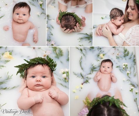 Milk Bath Pictures, Baby Milk Bath, Milk Bath Photos, Bath Pictures, Parenting Photography, Milk Bath Maternity, Milk Bath Photography, Bath Photography, Baby Announcement Pictures