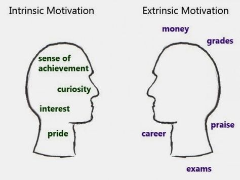 Pursuing Intrinsically motivating goal contributes to greater levels of happiness Extrinsic Motivation, Types Of Motivation, Psychology Notes, English Collocations, Nuclear Family, Motivation Psychology, Intrinsic Motivation, Business Marketing Plan, Leadership Management