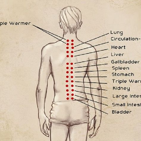 Let Them Leave, Punkty Spustowe, Acupuncture Points Chart, Pressure Point Therapy, Massage Therapy Techniques, Lymph Massage, Acupressure Massage, Reflexology Massage, Cupping Therapy