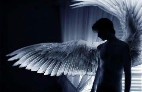 Fallen Angel Aesthetic, Male Angels, Ange Demon, Angel Aesthetic, Angel And Devil, Trik Fotografi, Fantasy Aesthetic, Dark Angel, Angels And Demons