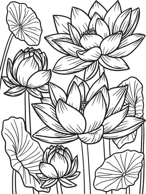 Orchid Coloring Pages, Lotus Flower Coloring Pages, Weird Coloring Pages, Printable Flower Coloring Pages, Garden Coloring Pages, Lotus Flower Art, Coloring Page For Adults, Abstract Coloring Pages, Adult Coloring Designs