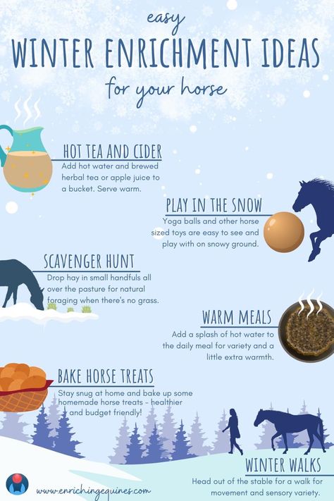 Horse Enrichment, Homemade Horse Treats, Horse Barn Ideas Stables, Paddock Paradise, Horse Food, Winter Horse, Horse Info, Horse Camp, Dog Enrichment