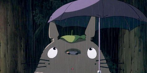 1080 Anime Wallpaper, Sharing Umbrella, Jerry O'connell, My Neighbour Totoro, Hollywood Story, Movie Memes, Ghibli Movies, Cartoons Series, My Neighbor Totoro