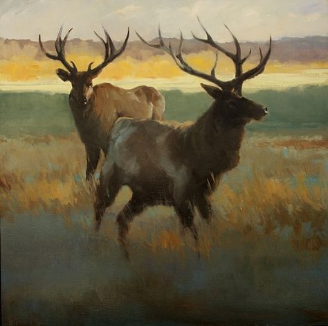 Two Elk Afield by Fran Kievet Oil ~ 48 x 48 Mule Deer Painting, Mule Deer Drawing, Mule Deer Tattoo, Deer Paintings, Fishing Sublimation, Mule Deer Buck, Animal Painter, Deer Artwork, Big Deer