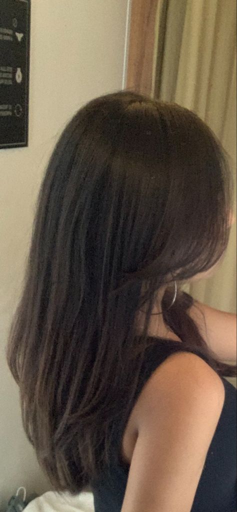 Armpit Length Hair, Pin Straight Hair, Straight Layered Hair, Brown Hair Inspo, Straight Hair Cuts, Layered Haircuts For Medium Hair, Brunette Hair With Highlights, Bangs With Medium Hair, Hairstyles For Layered Hair