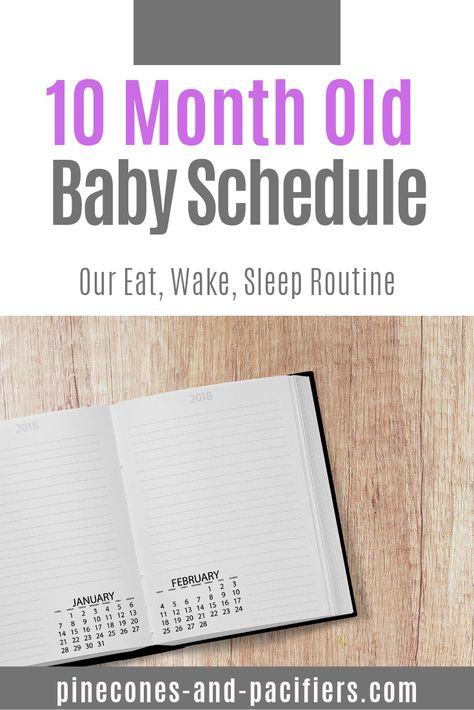 10 month baby schedule 6 Month Sleep Schedule, 10 Month Old Schedule, Weaning From Bottle, 4 Month Old Schedule, 6 Month Old Schedule, Babywise Schedule, 4 Month Old Baby, Baby Feeding Schedule, Baby Schedule