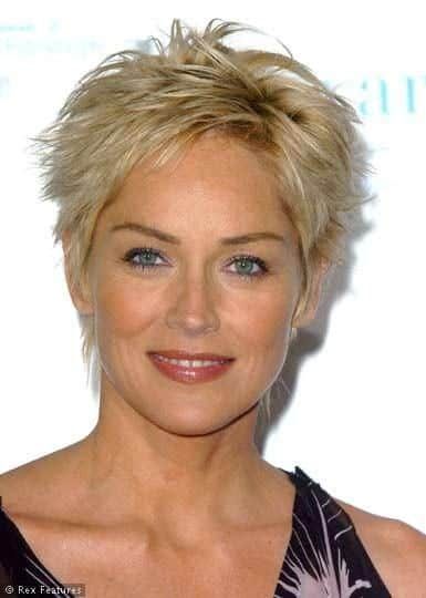 35 Greatest Short Hairstyles for Round Faces Over 50 Sharon Stone Short Hair, Sharon Stone Hairstyles, Short Shaggy Haircuts, Heather Locklear, Short Shag Hairstyles, Spiked Hair, Messy Short Hair, Short Grey Hair, Sharon Stone