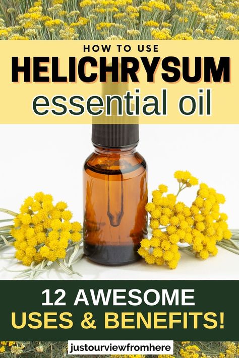 field of helichrysum flowers in background, a small amber glass bottle of essential oil and helichrysum flowers, text overlay how to use helichrysum essential oil, 12 awesome uses and benefits Helichrysum Essential Oil Uses, Helichrysum Essential Oil, Essential Oils For Face, Diy Essential Oil Recipes, Essential Oils For Pain, Doterra Essential Oils Recipes, Essential Oil Remedy, Essential Oils Herbs, Essential Oils Health