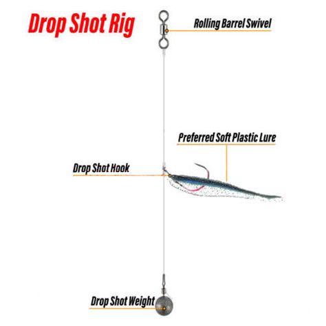 Drop Shot Fishing Rigs, Drop Shot Fishing, Palomar Knot, Smallmouth Bass Fishing, Drop Shot Rig, Bass Bait, Bass Fishing Tips, Smallmouth Bass, Drop Shot