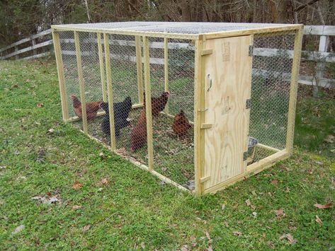 So as I can free range my chickens (A few chickens at a time) I built this light weight moveable cage. I tried to install wheels however I could not get them to work without the coop to far off the ground, and in my opinion this put the chickens at risk if a dog or cat came up. Like this a dog or cat can't get to the chickens for sure. Its made of 2X2 treated wood and its easy to move with 1 person if you want to slide it or 2 people can carry it with ease. It was hard to get the chicke Chicken Run Portable, Collapsible Chicken Run, Chicken Coop Movable, Mobile Chicken Run, Chicken Run Open Top, Extra Large Chicken Run, Wyandotte Chickens, 2x2 Wood, Wyandotte Chicken