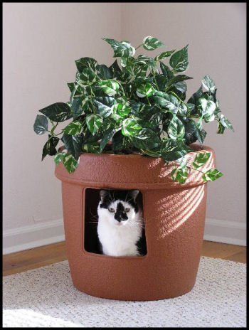 10 Ideas for Disguising or Hiding a Litter Box Apartment Therapy's Home Remedies | Apartment Therapy Litter Box Planter, Plant Litter Box, Diy Litter Box, Katt Grejer, Chat Diy, Kat Diy, Diy Cat Litter, Cat Box, Diy Cat