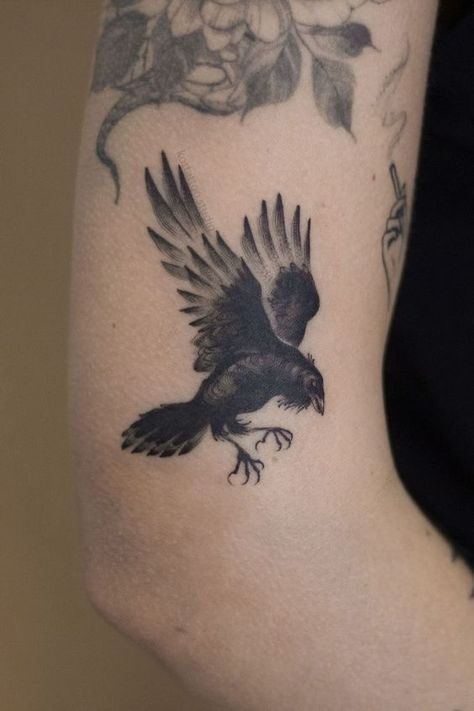 Realistic Crow Tattoo, Small Raven Tattoo, Raven Tattoo Ideas, Courage Tattoo, Stencils Art, Crow Tattoo Design, Black Bird Tattoo, Tattoo Dotwork, Tatoo Inspiration