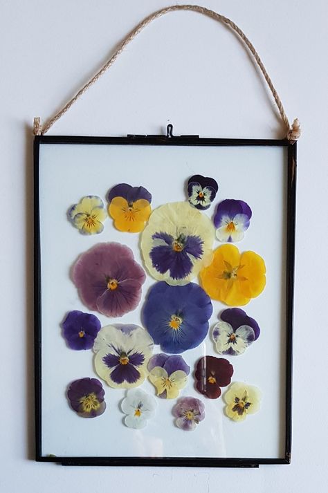 Pressed Pansies, Flower Art Ideas, Outside Crafts, Floral Room Decor, Framed Pressed Flowers, Pressed Plants, Beautiful Meadow, Flower Art Prints, Flower Pressing