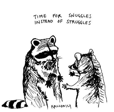 Raccoon Tattoo Funny, Racoon Sketch, Raccoon Memes, Lunar Cycle, Hello You, Trash Panda, Perfect Timing, Racoon, Mood Pics