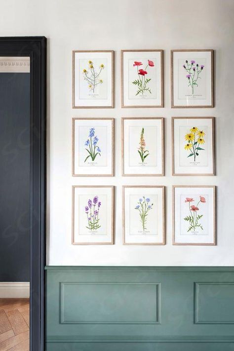 Botanical gallery wall by eco brand Ivy&Fern known for their wildflower graphic floral designs. Floral A4 artwork printed on recycled paper and packaged in biodegradable wrap. (other sizes avaliable) From £12 Photo: 3x3 Framed gallery wall with sage green panelled wall and dark navy door frame. Herringbone wooden floor and Hague blue room. Botanical art collection of 9 framed pictures.
 ... daha fazla Botanical Pictures On Wall, Flowers Art Wall, Same Size Frames On Wall, Artworks For Home, Sage And Navy Blue Bedroom, A4 Gallery Wall, Photos On Panelled Wall, 3x3 Gallery Wall, 12 Photo Gallery Wall