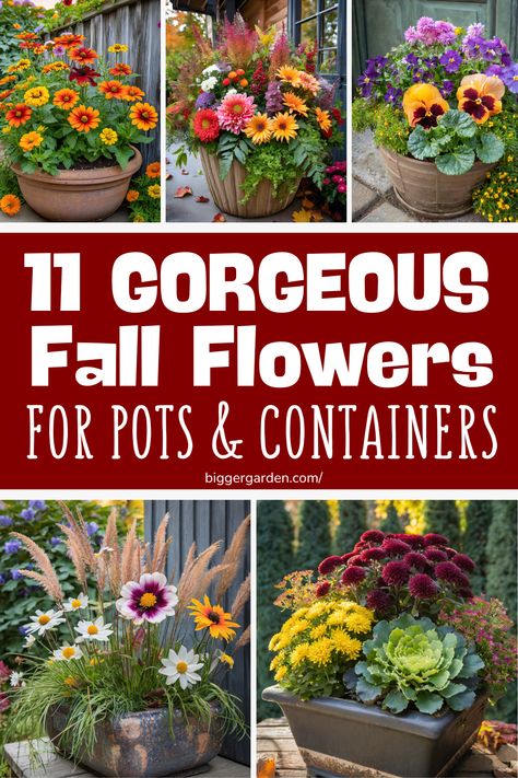 Get inspired with 11 stunning fall flower arrangements for pots. From autumn planters to fall container gardens, explore fall pots and container garden design ideas. Include fall planters and garden plants design, featuring fountain grass. Fall Pots Outdoor Planters Diy, Fall Pansy Containers, Fall Plant Pot Ideas, Fall Outside Flower Pots, Flowerpot Arrangements Outdoor, Autumn Flower Pots, Fall Floral Wedding Arrangements, Fall Plants For Containers, Outdoor Fall Flowers Planters