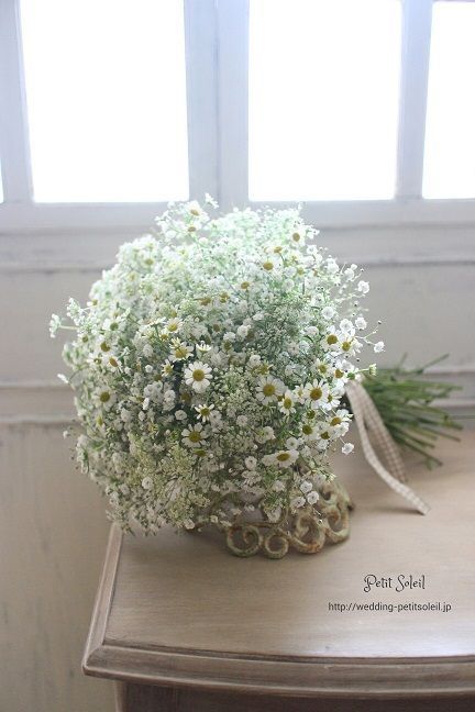 Baby's Breath Wedding Flowers, Bouquet Champetre, Aster Flower, Hand Bouquet, White Wedding Bouquets, Bouquet Arrangements, White Bouquet, Baby's Breath, Table Flowers