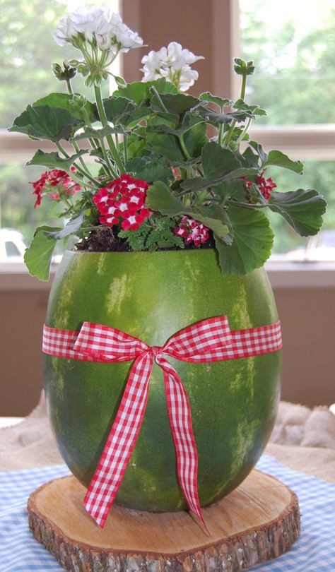 Main table centerpiece - watemelon planter with white geranium and red  white verbena White Verbena, Watermelon Centerpiece, Watermelon Birthday Parties, Main Table, Watermelon Birthday, Flower Gardening, One In A Melon, Friends Day, Serving Table