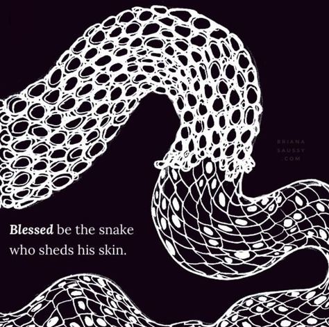 Shedding Skin, Snake Painting, Snake Shedding, Skin Tattoo, Florida Water, Blessed Be, Snake Art, Snake Design, Snake Tattoo