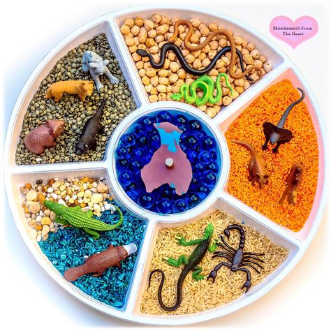 Sensory Trays For Preschool, Australia Sensory Play, Australian Animal Sensory Play, Australia Sensory Bin, Australian Animals Activities, Australia Montessori, Australia Crafts, Recycled Diy, Flisat Table