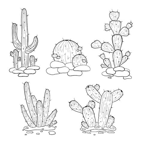 Vector hand drawn cactus isolated on whi... | Premium Vector #Freepik #vector #line-drawing #cactus-illustration #cactus #line-illustration Cactus Line Art, Cactus Sketch, Cacti Flower, Drawing Cactus, Mexico Cactus, Mexican Cactus, Tall Cactus, Cactus Clipart, Cactus Drawing