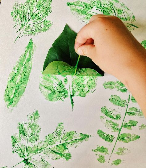 Natalie on Instagram: “Leaf stamping 🌿 . Here’s a simple, fun way to play with leaf shapes ~ gather leaves from the trees in your yard, cover the undersides with…” Leaf Stamping, Trees For Kids, Summer Tree, Backyard Trees, Tree Study, Children Sketch, Nature Sketch, Summer Trees, Exploring Nature