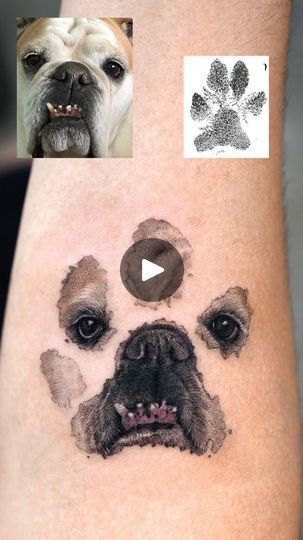 1K reactions · 38 shares | Leia💖Custom dog paw print portrait tattoo
@tattooist_kimria 
Done at @vismstudio 

📍Los Angeles, CA

#latattooartist #dogtattoo #cattattoo #memorialtattoo #animalportrait #delicatetattoo #latattoo #petportrait | Ria Kim 김리아 | Richard LaForge · Autumn Breeze Pawprint Tattoo, La Tattoo, Autumn Breeze, Delicate Tattoo, Memorial Tattoo, Print Portrait, Dog Paw Print, Dog Tattoo, Dog Paw