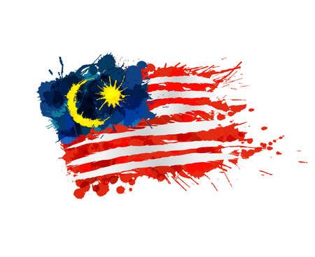 Malaysia Flag Aesthetic, Malaysian Flag, Indian Flag Images, Malaysia Flag, Splash Images, Door Signs Diy, Indian Flag, Flag Vector, Flag Background