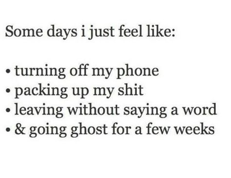 Damn truth. It'd be so effing amazing at times-  "going ghost for a few weeks". I’m Going Ghost Quotes, Going Ghost Quotes, Ghost Quotes, Go Ghost, Ghost Quote, Apple Quotes, Going Ghost, 67 Impala, Betrayal Quotes