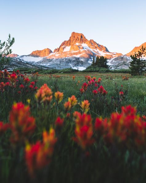 Wilderness Aesthetic, Plant Aesthetics, Sunrise Colors, Indian Paintbrush, Journal Travel, Ansel Adams, Nature Aesthetic, Pretty Places, Nature Pictures