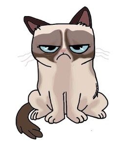 Grumpy Cat Cartoon, Grumpy Cat Art, Annoyed Cat, Cats Funny Cartoon, Cat Face Drawing, Cartoon Cat Drawing, Face Doodles, Funny Animal Comics, Grumpy Face