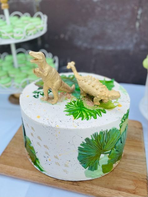 Dino Theme Cake, Triceratops Cake, Dinosaur Themed Cake, Dinosaur Birthday Cake, Dino Theme, Dino Cake, Dinosaur Birthday Cakes, 3rd Birthday Cakes, Buttercream Icing