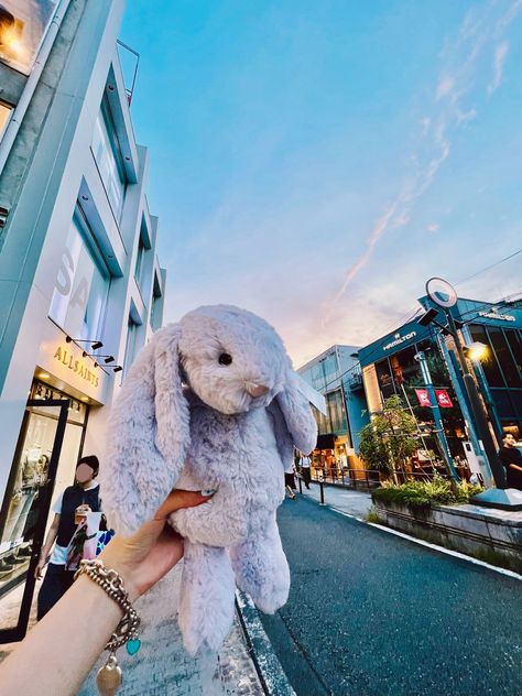 Jellycat lavender bashful bunny in harajuku, tokyo, japan. #jellycat #stuffedbunny #tokyo #japan #harajuku Harajuku Tokyo Japan, Lavender Bunny, Bashful Bunny, Harajuku Tokyo, Tokyo Japan, Harajuku, Tokyo, Lavender, Japan