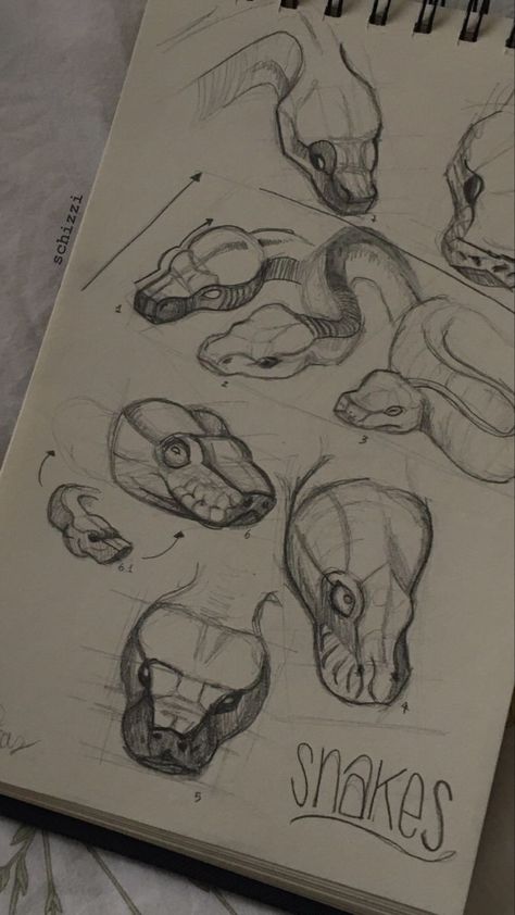 Snake Tutorial Drawing, Coiled Snake Drawing Reference, How To Draw Snake Eyes, Gothic Snake Drawing, Snake Head Tutorial, Snake Coiled Drawing, How To Draw A Snake Head, Slytherin Snake Drawing, Snake Tongue Drawing