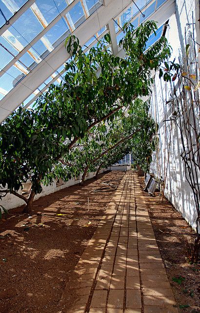 Buried Greenhouse, Pyramid Greenhouse, Living In Greenhouse, Tree Greenhouse, Giant Greenhouse, Big Greenhouse, Underground Greenhouse, Solar Greenhouse, Lost Gardens Of Heligan