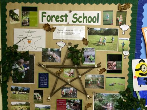 great idea for display Forest School Display Board, Forest School Ideas, Bush Kindy, Feelings Activities Preschool, Display Boards For School, Forest Kindergarten, School Display, Forest School Activities, Feelings Activities