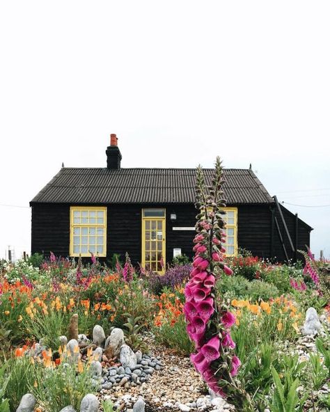 front graden Beautiful Home Landscapes, Country House Landscape, Prospect Cottage, Shingled House, Nature Guide, Derek Jarman, Casa Exterior, Cottage Living, Living Forever