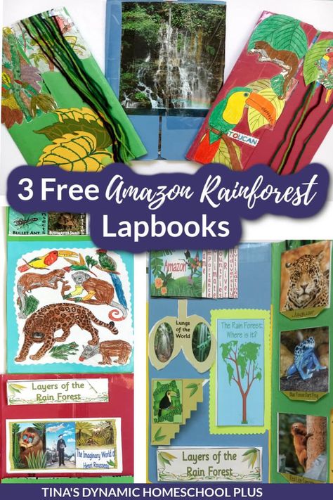 I have three free Amazon rainforest lapbooks which go with our Amazon Rain Forest Unit Study And homeschool lapbooks make great tools for master learning about a unit study topic. These lapbook about the Amazon Rainforest covers so many subtopics that each of your children can spend time on whatever topics interest them. Besides you can make many or one from the different minibooks. Take your time putting together this huge lapbook because it has about 35 minibooks. #rainforestlapbook Rainforest Food Web, Rainforest Activities, Amazon Rain Forest, Teaching Geography, Toddler Homeschool, Homeschool Crafts, The Amazon Rainforest, Homeschool Elementary, Homeschool Encouragement