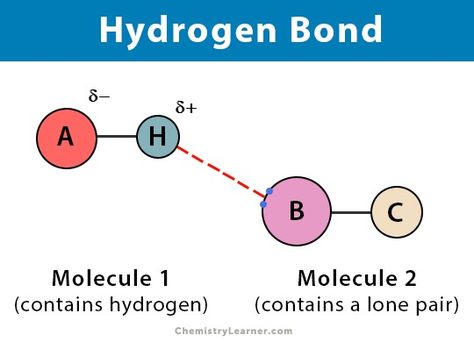 Hydrogen Bond: Definition, Types, and Examples Hydrogen Bonding, Ionic And Covalent Bonds, Octet Rule, Molecular Geometry, Ionic Bonding, Hydrogen Atom, Functional Group, Covalent Bonding, Chemical Bond