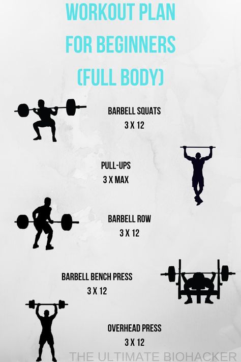 Accessory Workout, Functional Training Workouts, Strength And Conditioning Workouts, Full Body Workout Plan, Workout Program Gym, Gym Workout Planner, Personal Fitness Trainer, Full Body Workout Routine, Barbell Workout