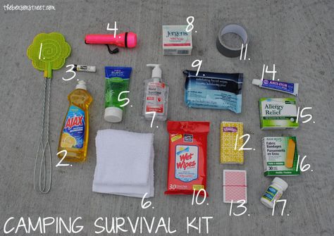 Everyone needs a "Go-To" kit when camping.  Here's a suggestion for contents.  Don't forget to get the unscented products. Camping Survival Kit, Survival List, Camping Bedarf, Camping Snacks, Camping 101, Camping Diy, Camping Shower, Camping Checklist, Camping Glamping