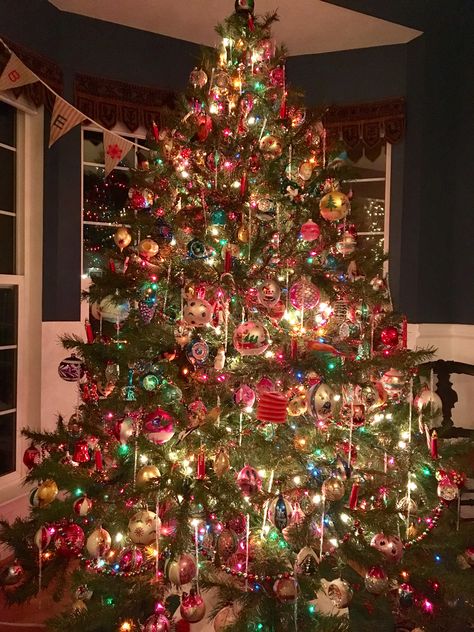 Rainbow Lights Christmas Tree, Multicoloured Christmas Tree Lights, Christmas Tree With Coloured Lights, Multicolor Light Christmas Tree Ideas, Rainbow Christmas Lights, Rainbow Light Christmas Tree, Christmas Tree Rainbow Lights, Color Light Christmas Tree, Christmas Tree With Colored Lights Ideas