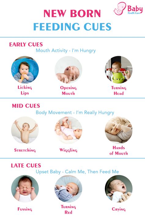 New Born Feeding, Baby Cues, Feeding Cues, Babysitter Checklist, Doula Care, Newborn Feeding, Toddler Biting, Newborn Baby Tips, Newborn Hacks