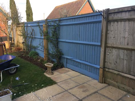 This is half way through painting the garden fence.  The paint is still wet. #gardenfenceideas #gardenfence #cuprinol  #cuprinolforgetmenot #outdoorliving #gardenmakeover Dark Blue Fence, Coloured Garden Fence, Blue Garden Fence, Blue Fence Garden, Garden Fence Paint, Fence Paint Colours, Cuprinol Garden Shades, Blue Fence, Garden Fence Ideas