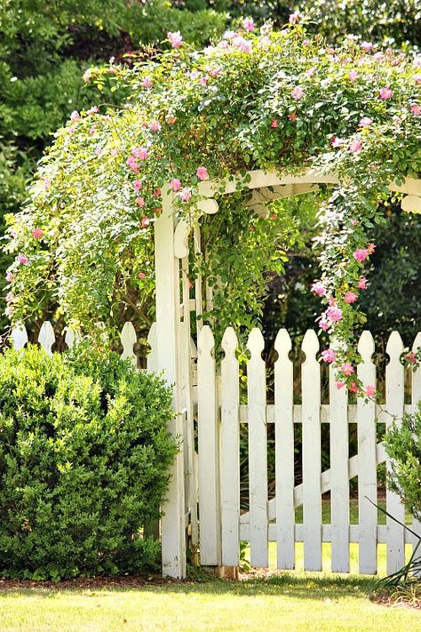 Romantic Gardens, Madison Georgia, Backyard Improvements, Porch House, Personal Garden, Farmhouse Landscaping, Garden Arbor, Garden Entrance, Winter To Spring